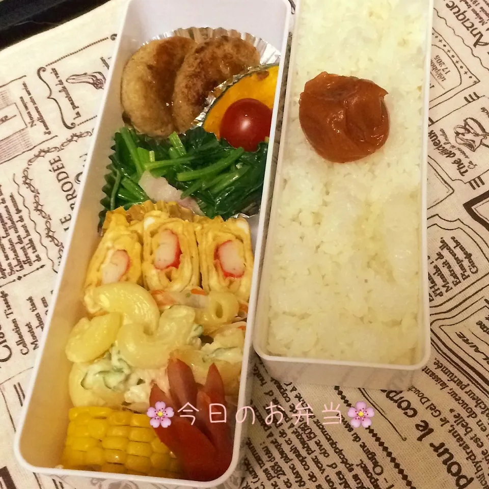 パパのお弁当6月2日|みぃたんさん