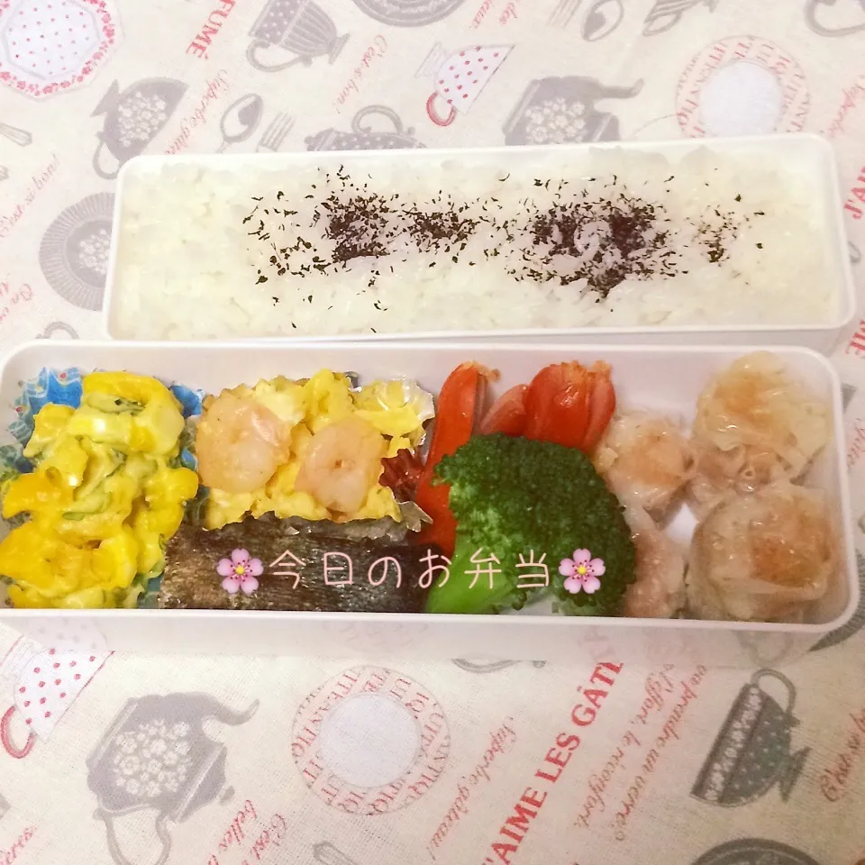 パパのお弁当5月27日|みぃたんさん