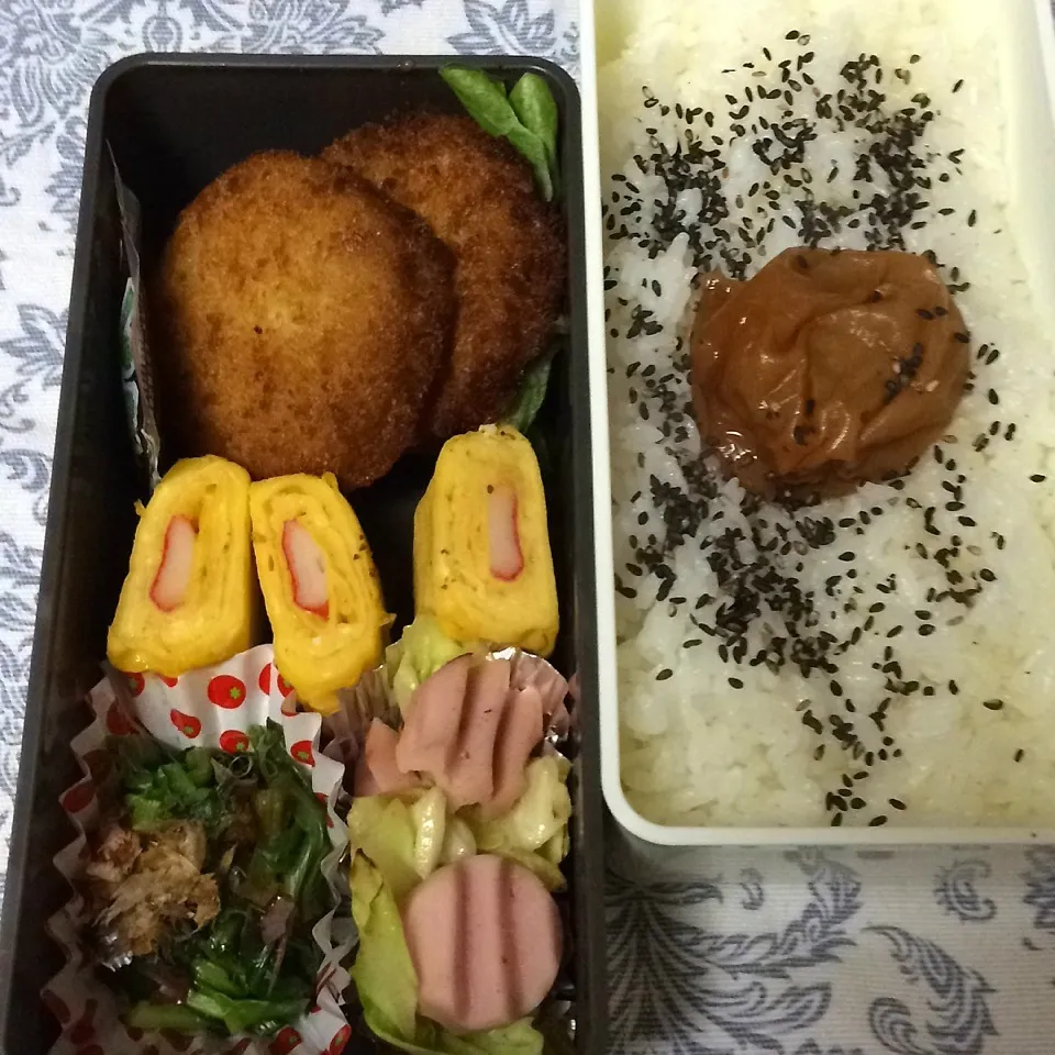 パパのお弁当3月16日|みぃたんさん