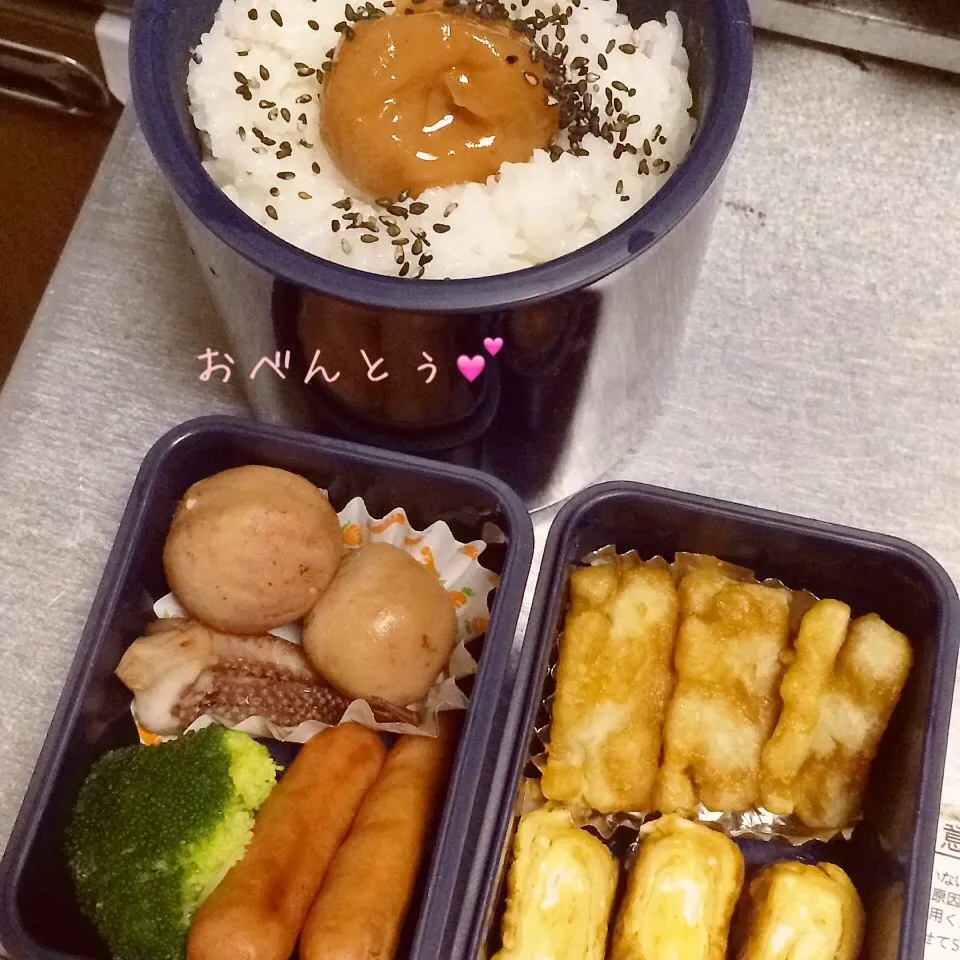 パパのお弁当1月7日|みぃたんさん