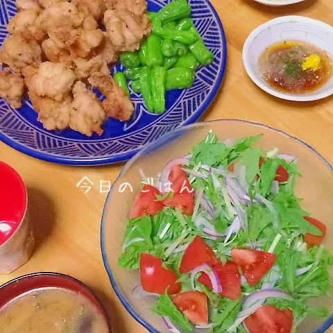 Snapdishの料理写真:晩御飯9月21日|みぃたんさん