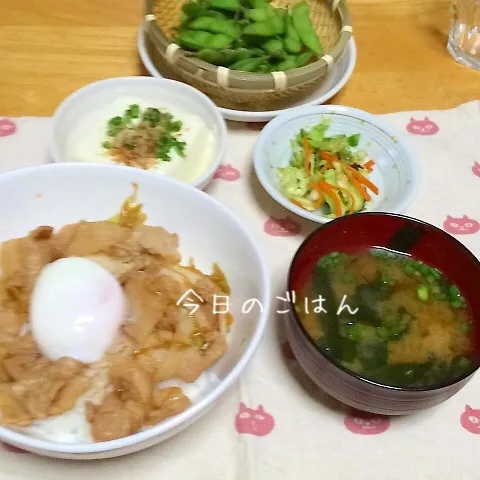 晩御飯7月23日|みぃたんさん