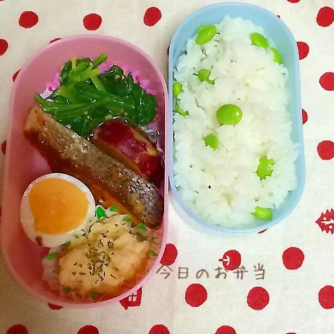 娘のお弁当5月23日|みぃたんさん