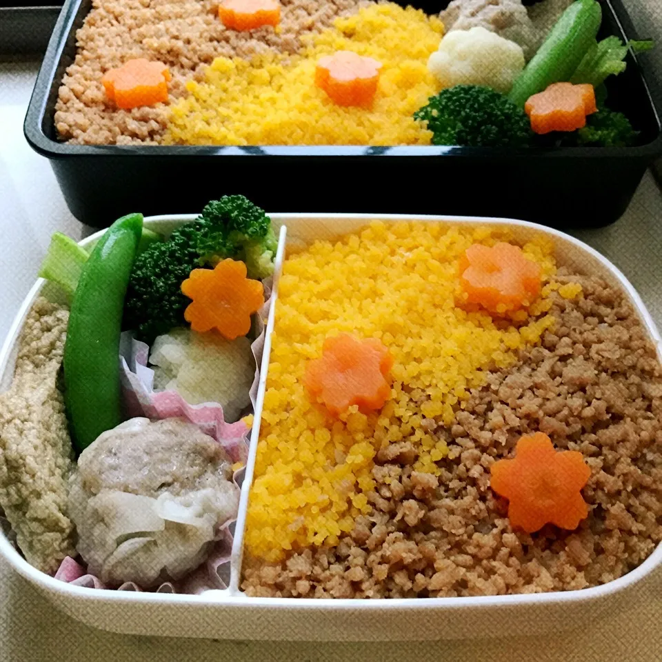 娘のお弁当🍱 二色そぼろ弁当|きゃずさん