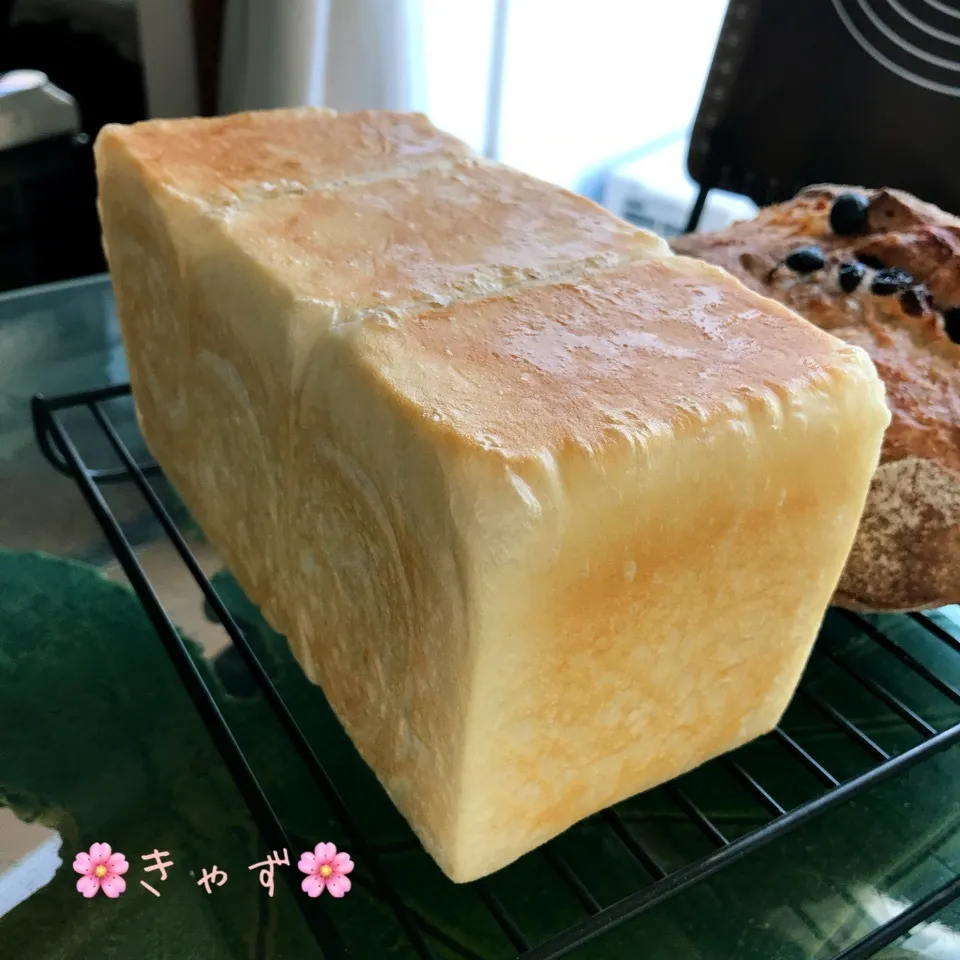 我が家のブーム🌸油脂無しの角食💕|きゃずさん