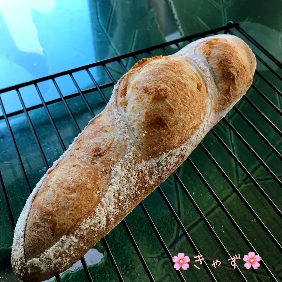 Snapdishの料理写真:バケット修業 みかん酵母|きゃずさん