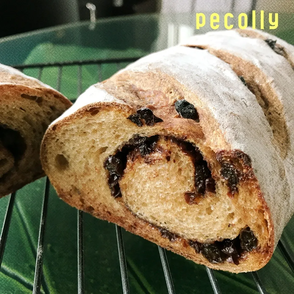 ルヴァン酵母でカラントとチョコの黒糖パン🥖|きゃずさん