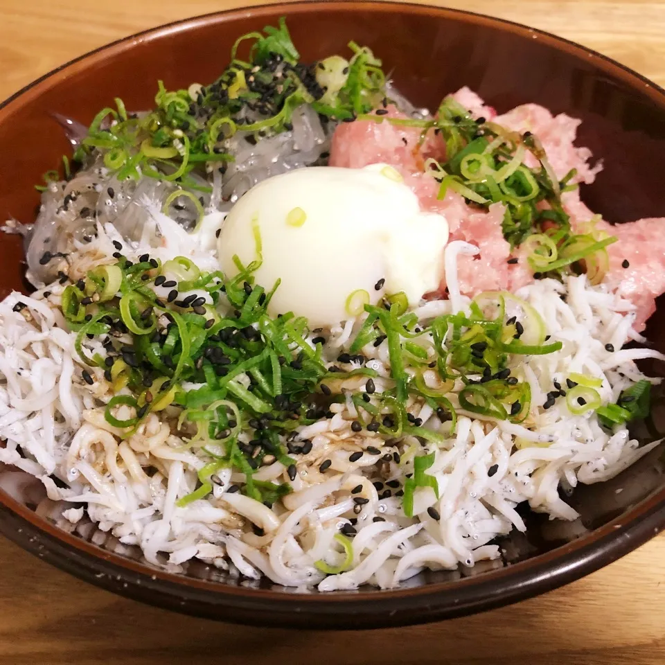 Snapdishの料理写真:ネギトロしらす丼|まぁたんさん