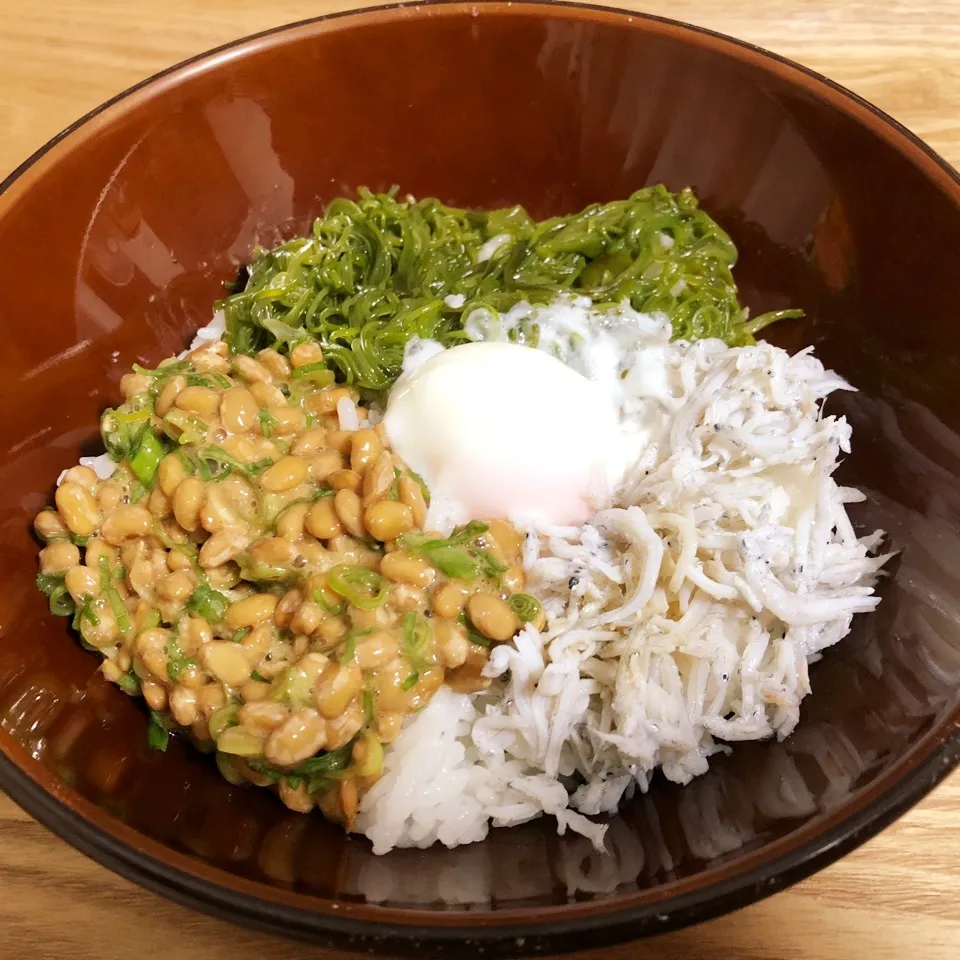 しらすめかぶ納豆ご飯|まぁたんさん