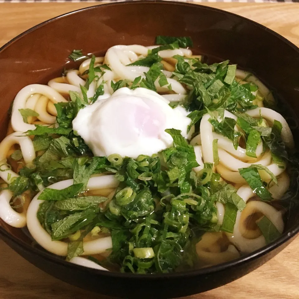 冷やしかけうどん|まぁたんさん