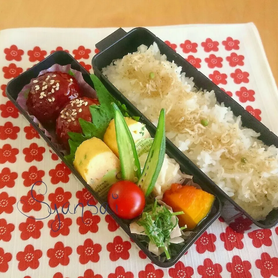 高２息子くん弁当 〈207〉|香菜さん