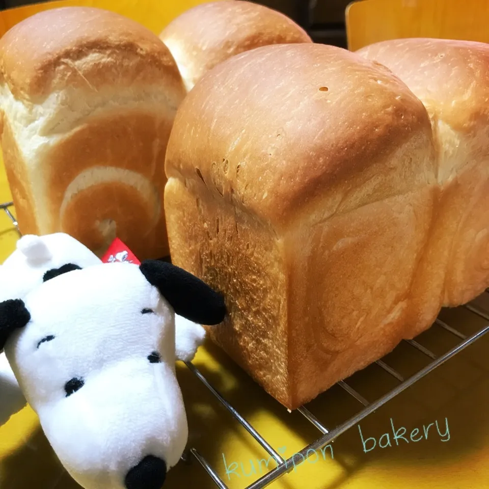 ふわふわミルキー米粉入り食パン(*≧ω≦)キャハハ♪|くみぽんさん