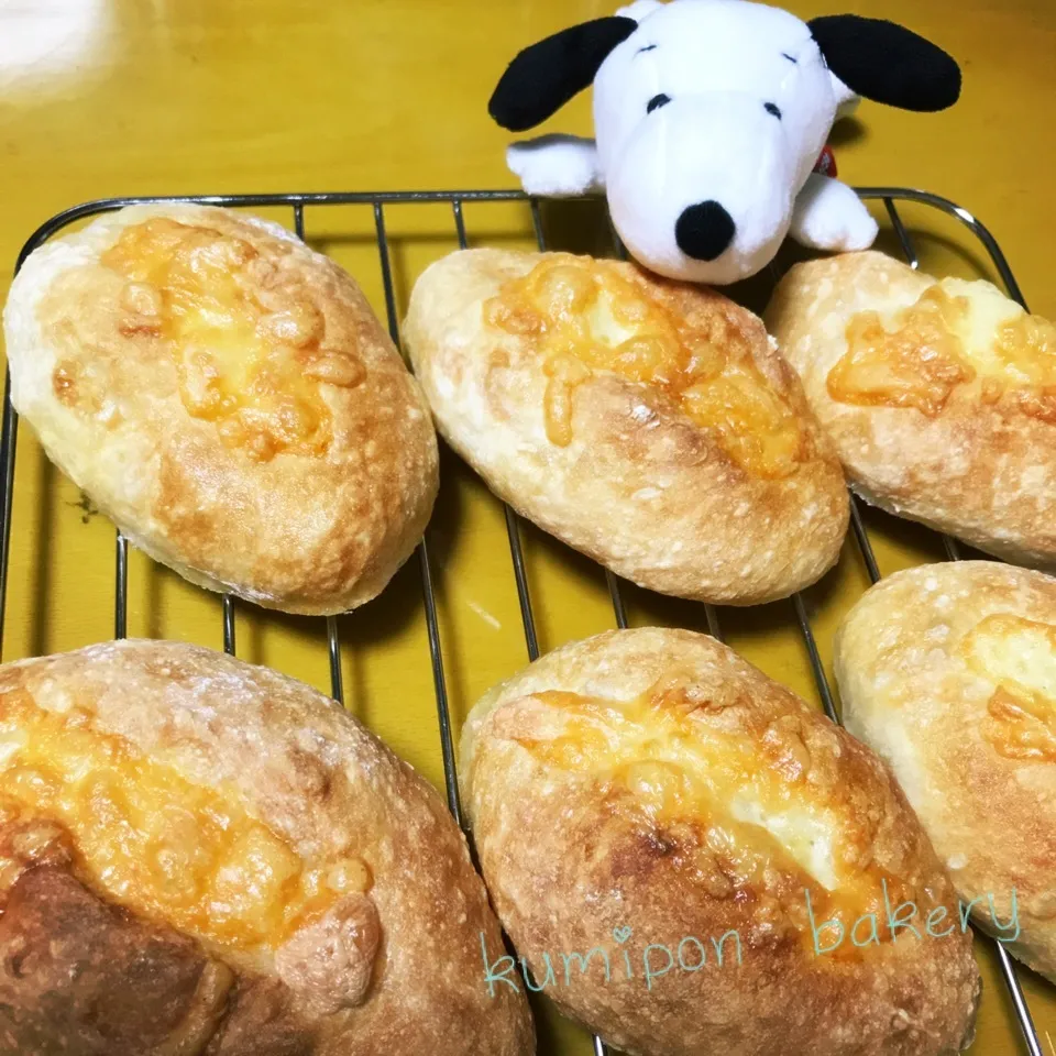 チーズフランス🧀🇫🇷もちもちパリパリうま〜(・ω<)|くみぽんさん