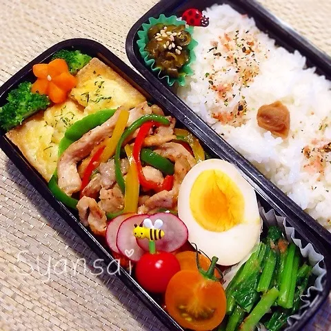 Snapdishの料理写真:高1息子くん弁当(*^ー^)ノ 〈16〉|香菜さん