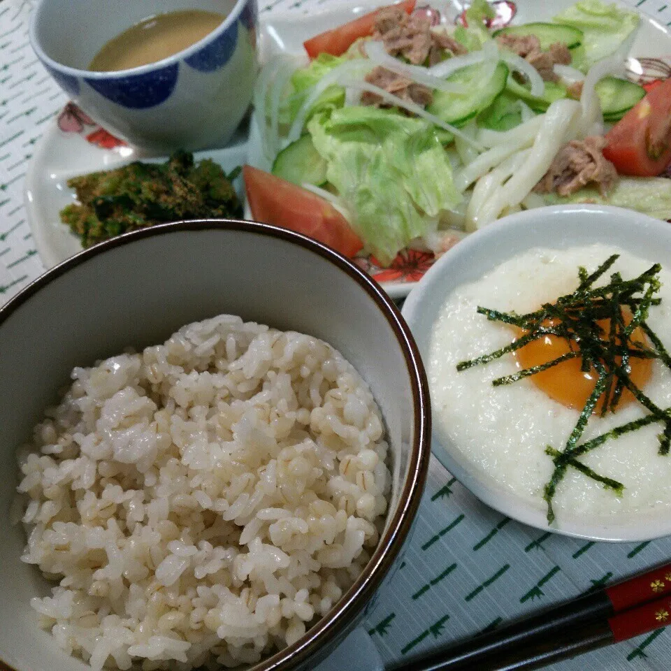 麦とろご飯とサラダうどん|くりんさん