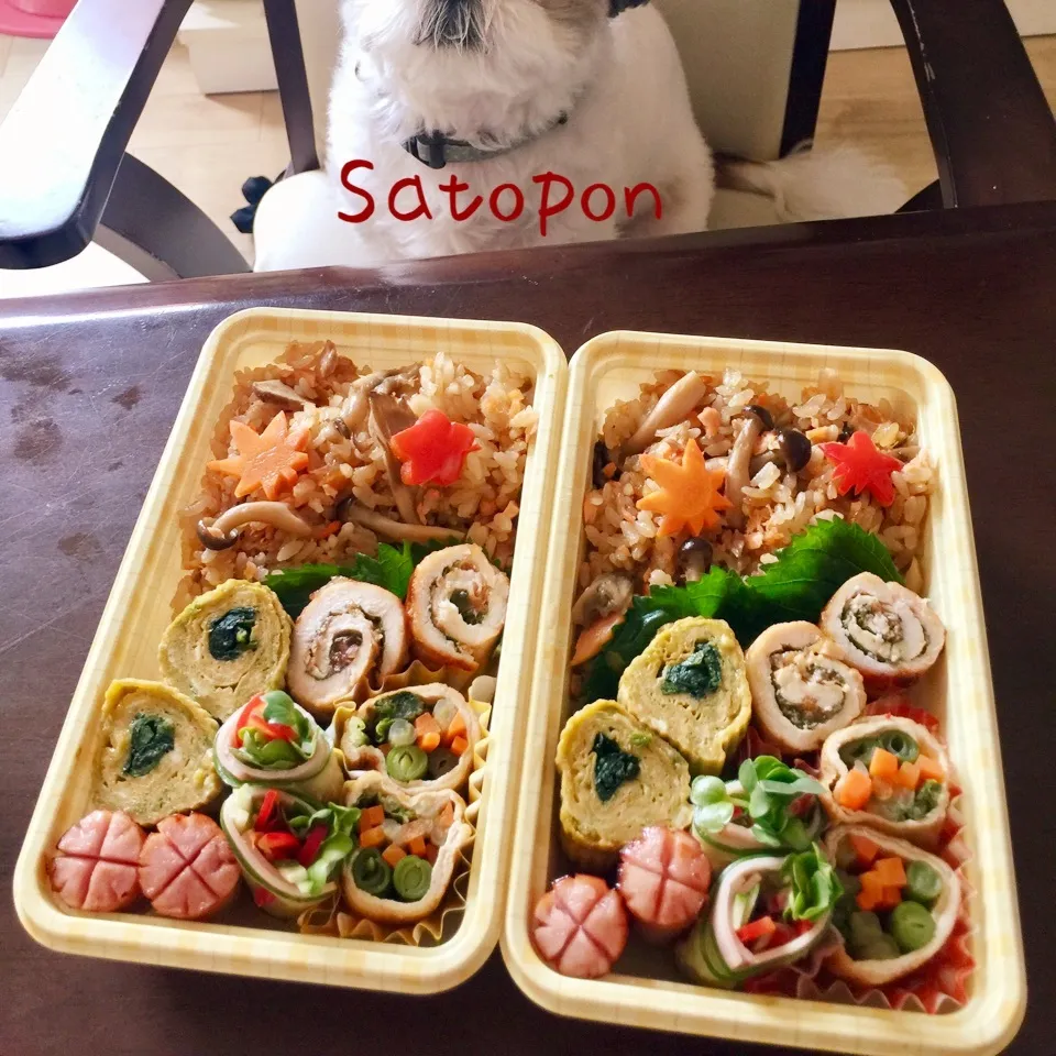 Snapdishの料理写真:秋のお弁当♪|さとぽんさん