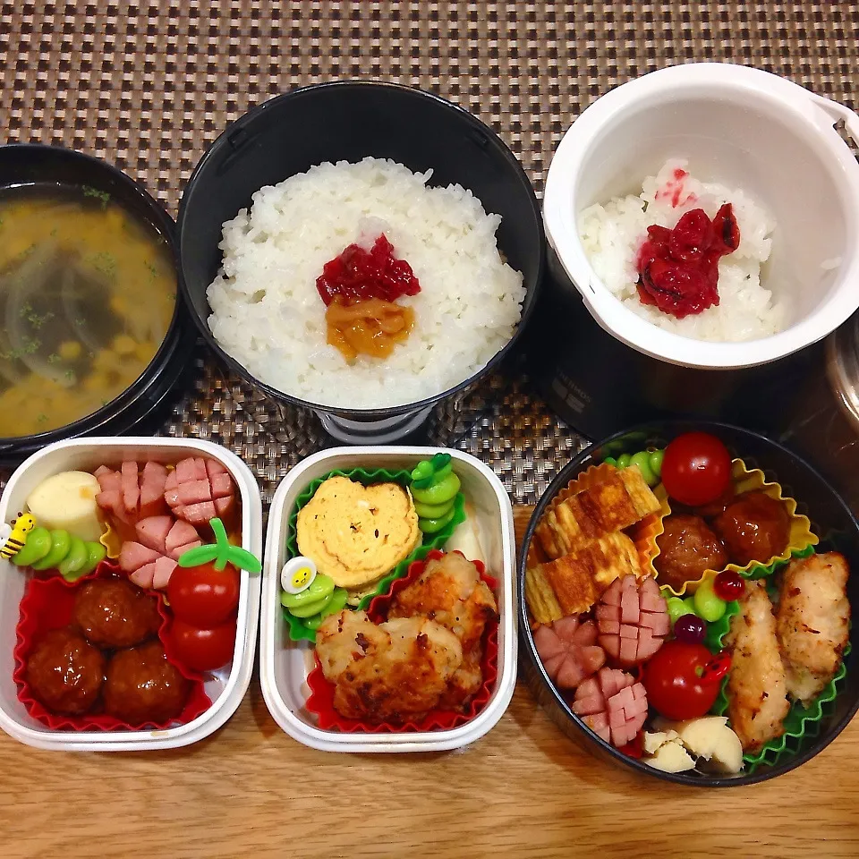 Snapdishの料理写真:お弁当〜♪♪|トッシーさん