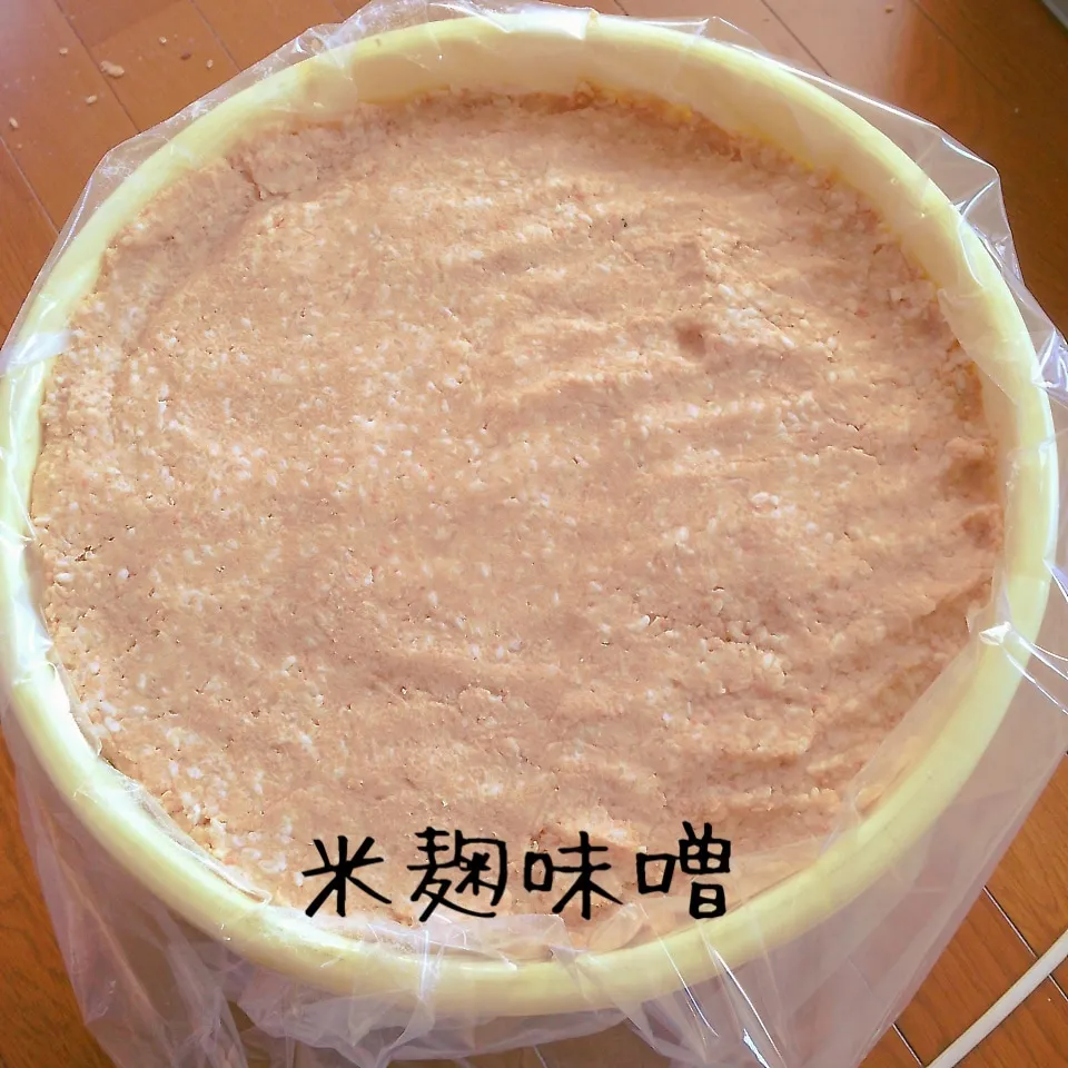 初体験の手作り米麹味噌|つるひめさん