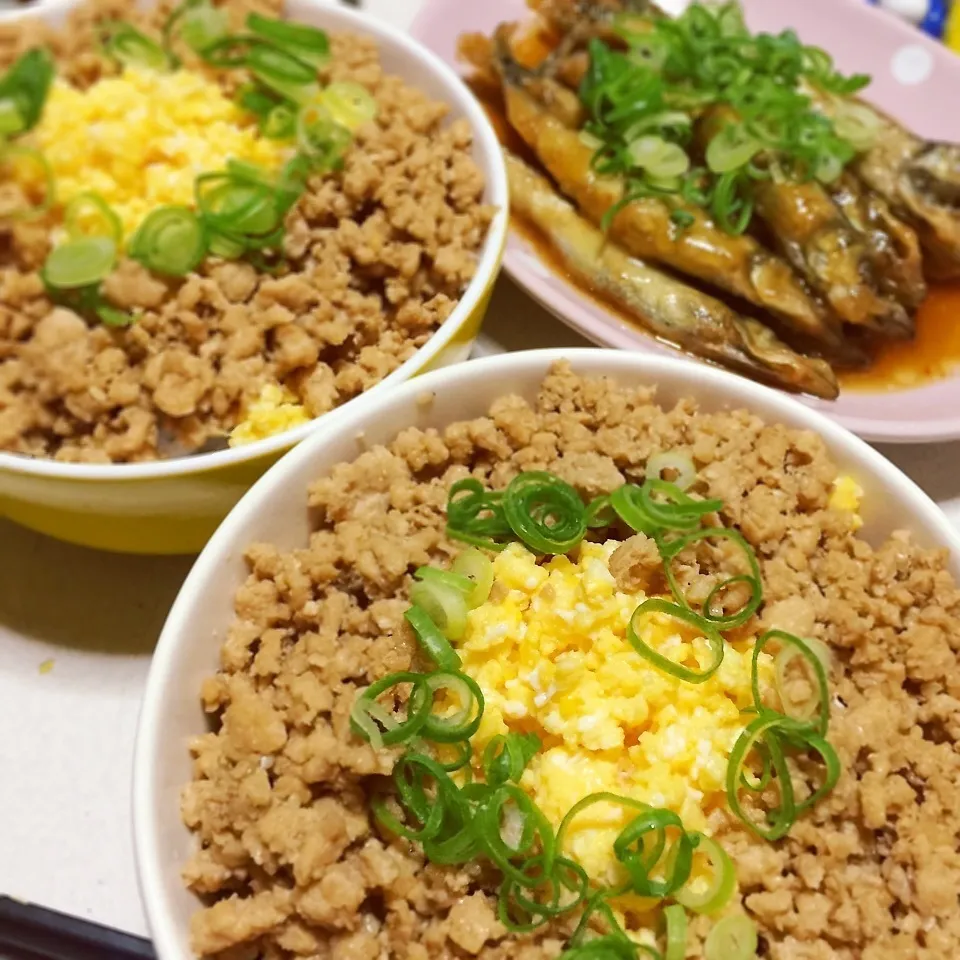 手抜き晩ご飯〜そぼろ丼とししゃも南蛮|わことひろさん