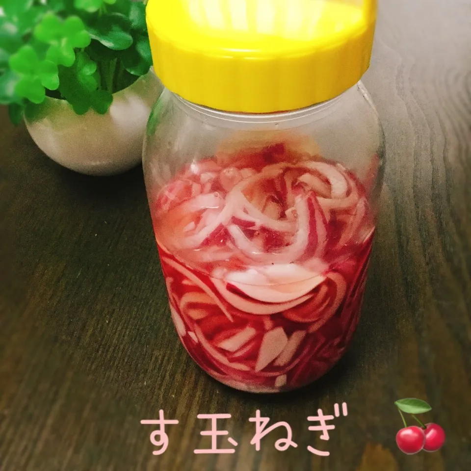 Snapdishの料理写真:【STD】紫玉ねぎで酢玉ねぎ仕込んだよ❣️|さくらんぼさん