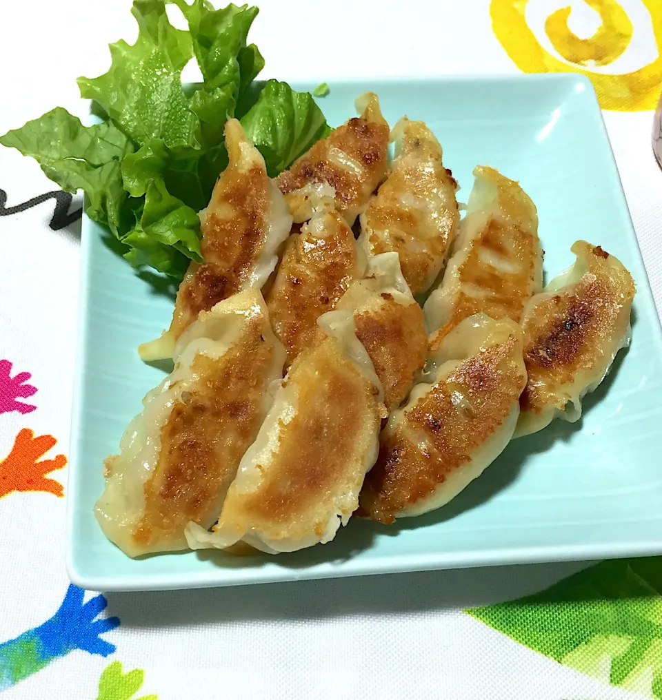 餃子🥟|クッキーさん