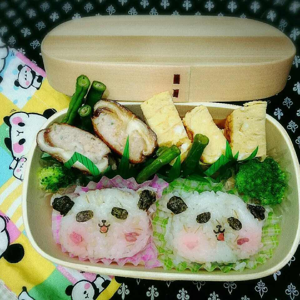 10月16日のわっぱ弁当|さらだきの子さん