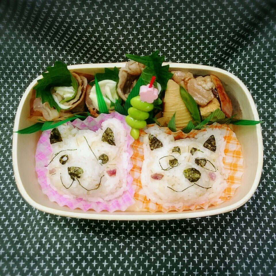 10月13日のわっぱ弁当|さらだきの子さん