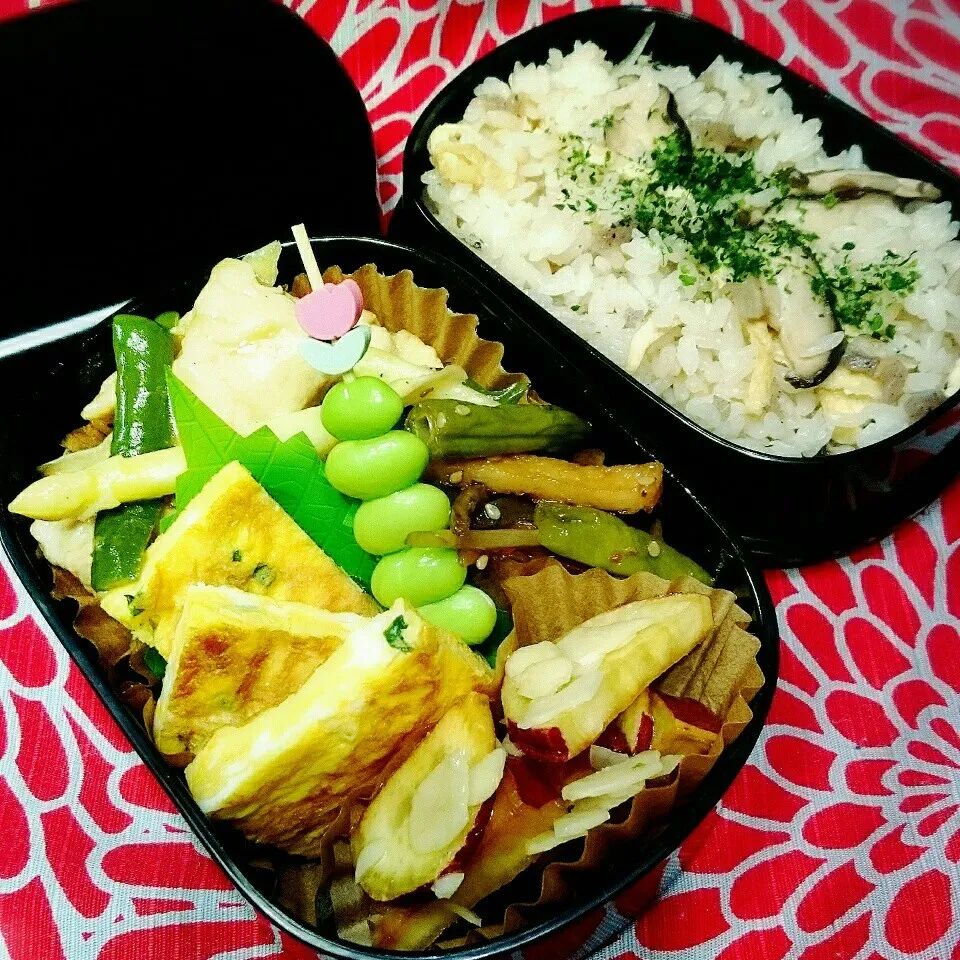 Snapdishの料理写真:3月16日のお弁当|さらだきの子さん