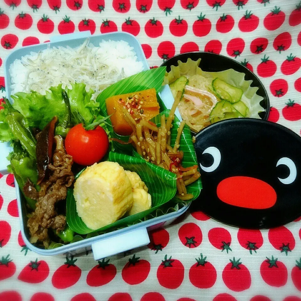 Snapdishの料理写真:牛肉とししとうのオイスターソース炒め弁当|さらだきの子さん