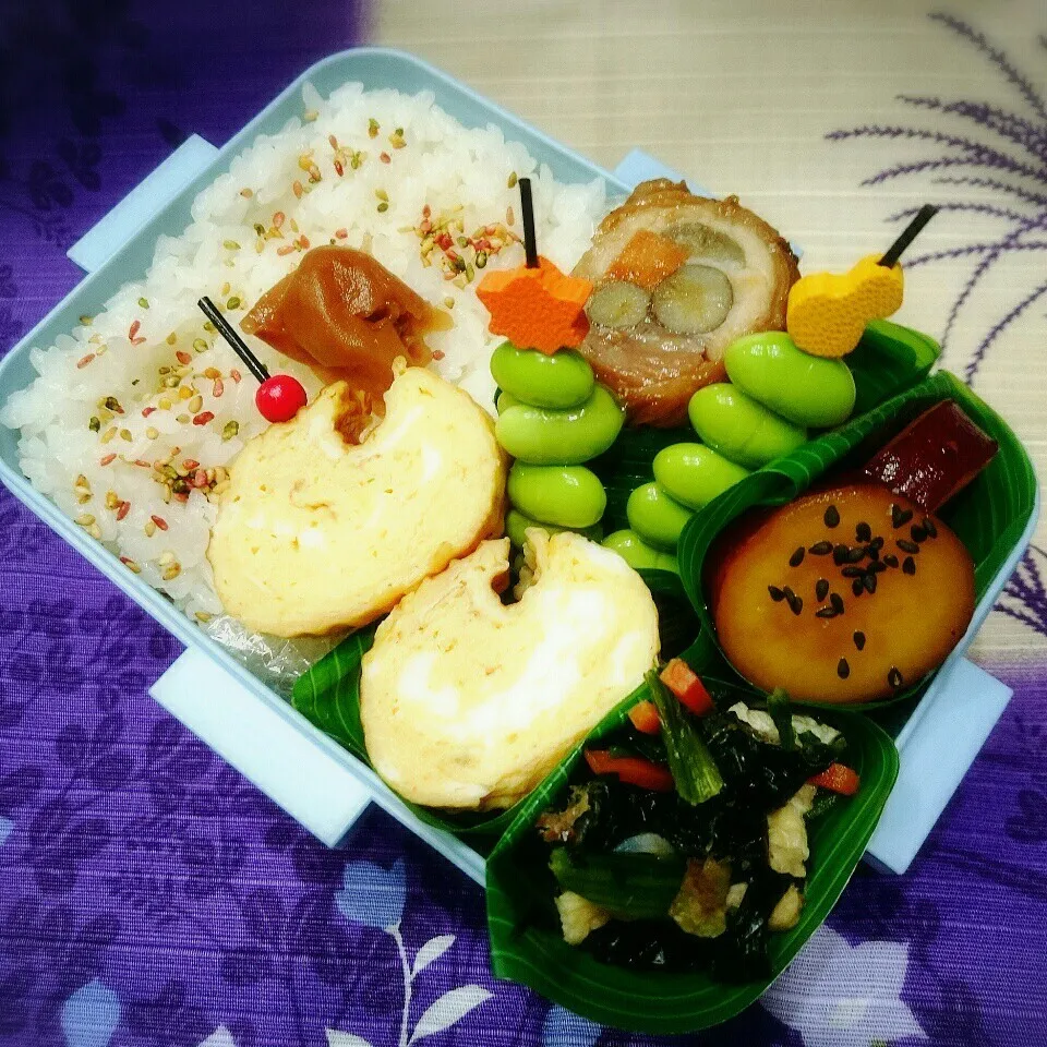 鶏肉のごぼう巻き弁当|さらだきの子さん