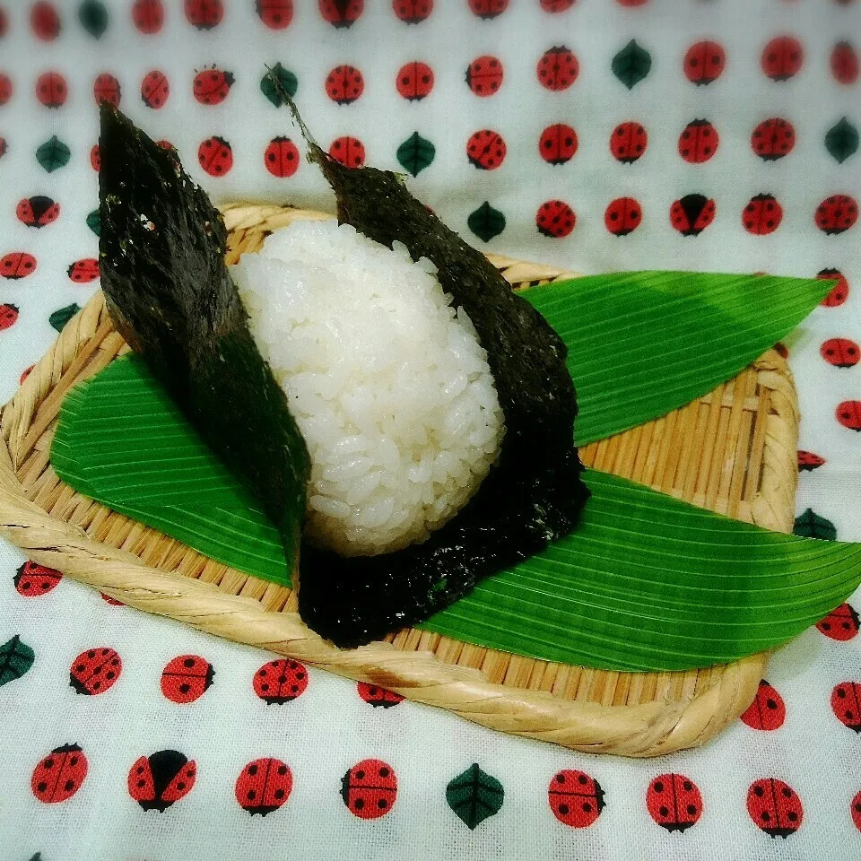 おにぎり🍙昆布|さらだきの子さん