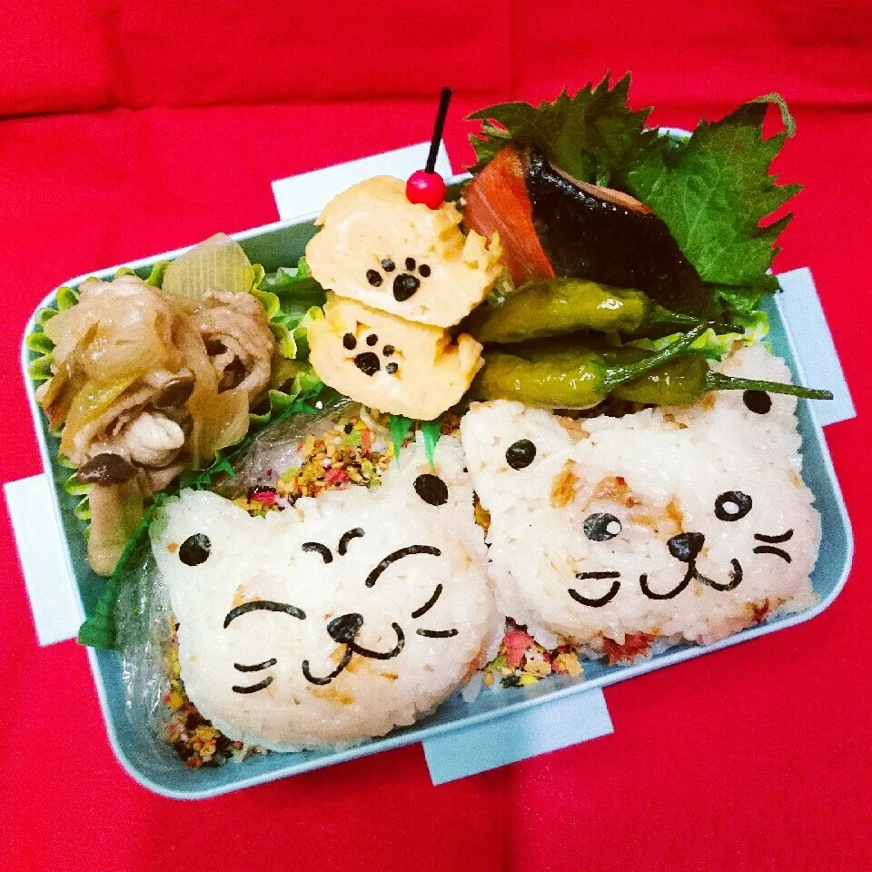 猫ちゃんおにぎり弁当|さらだきの子さん