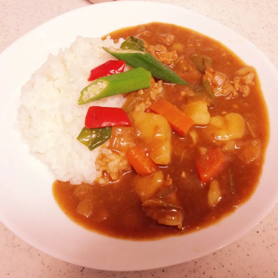 💗㊗️ハニーちゃん500投稿♡夏野菜カレーでお祝い💗|yuiママさん