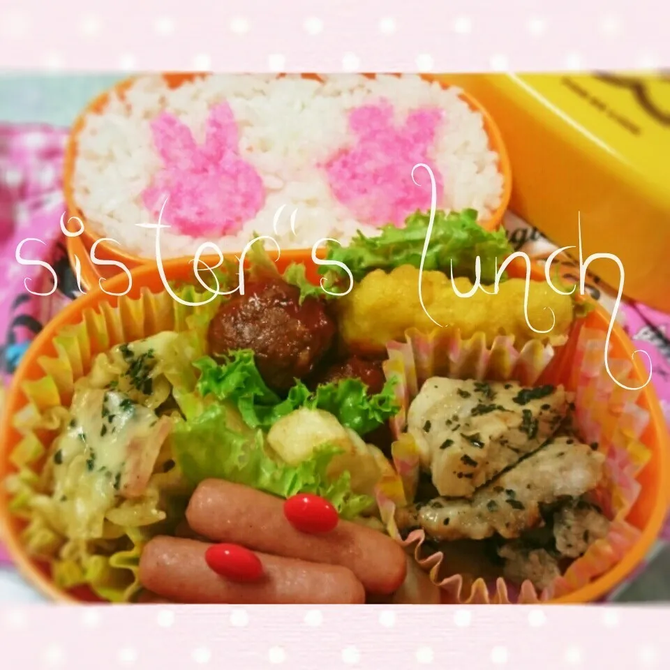 Snapdishの料理写真:17.04.18の妹ちゃんへのお弁当🍱|💗やよ💗さん