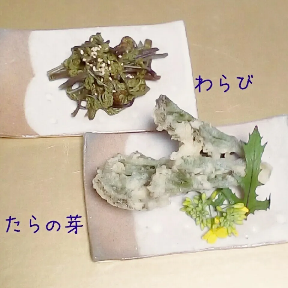 蕨のナムル と たらの芽の天麩羅|ゆっこさん