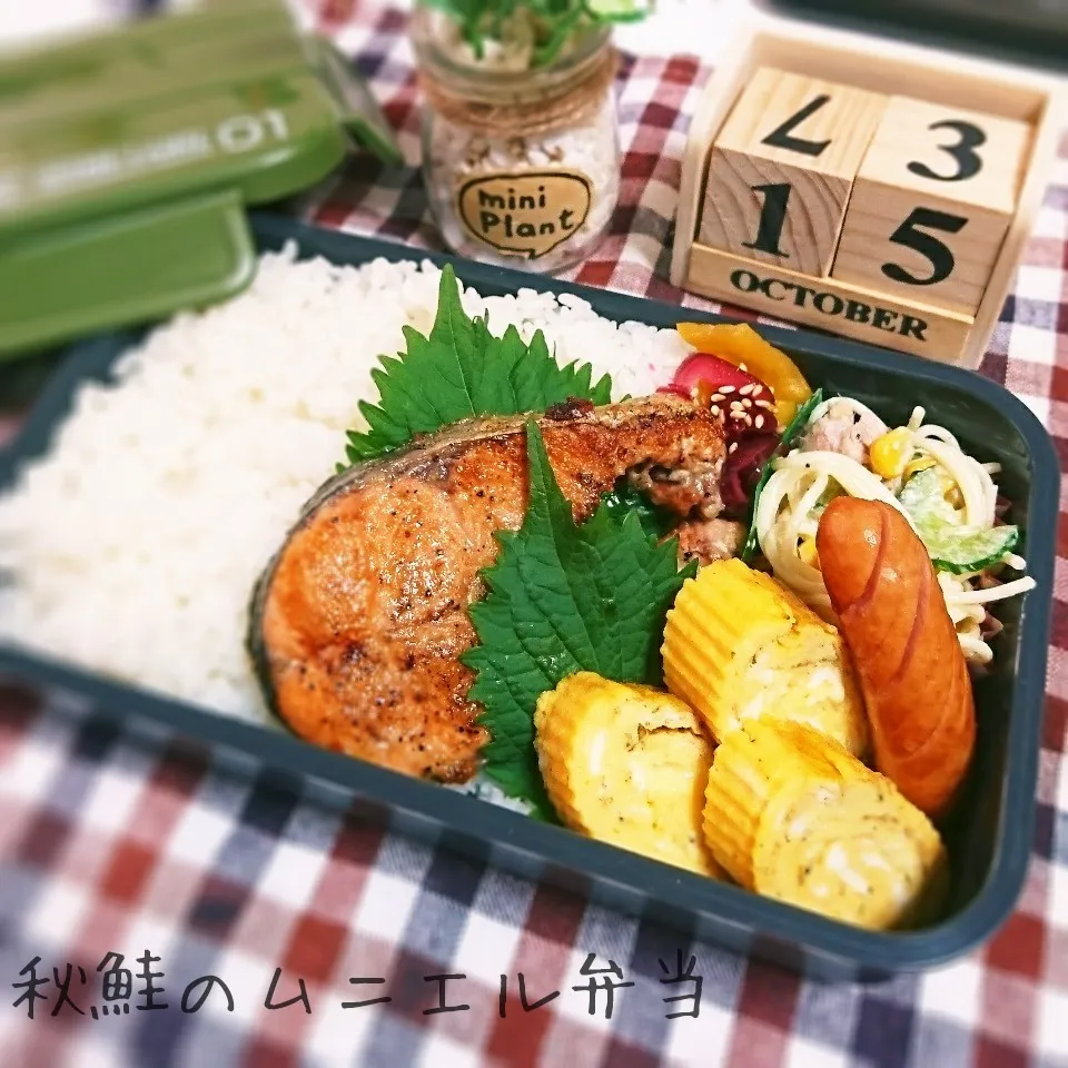 秋鮭のムニエル弁当(旦那用)|mugioさん