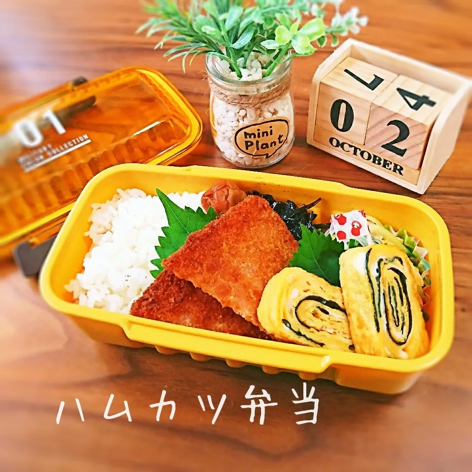 ハムカツ弁当(高1娘用)|mugioさん