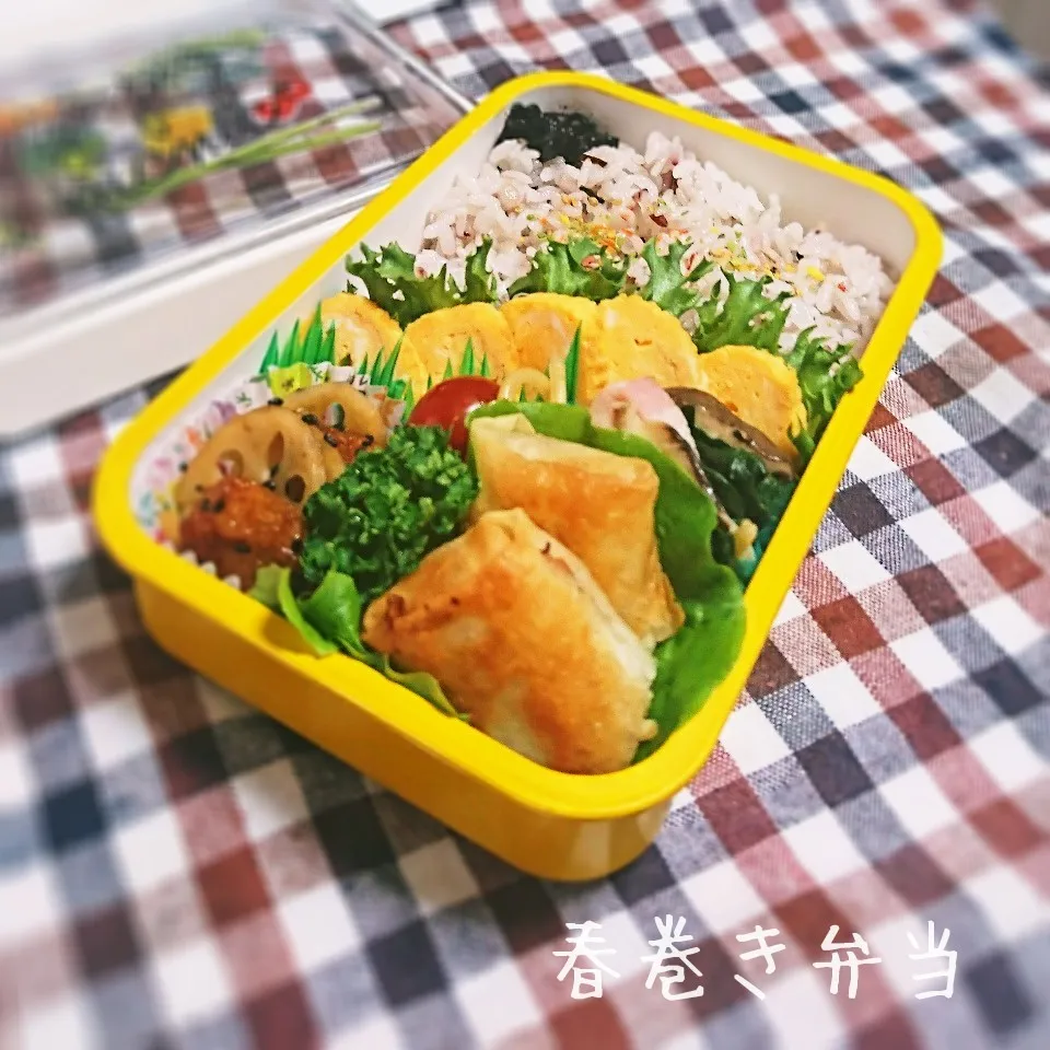 春巻き弁当(高1娘用)|mugioさん