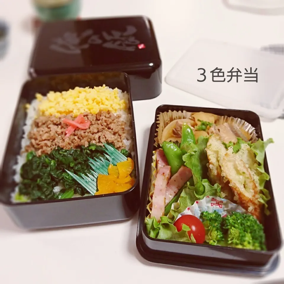 Snapdishの料理写真:3色弁当(旦那用)|mugioさん