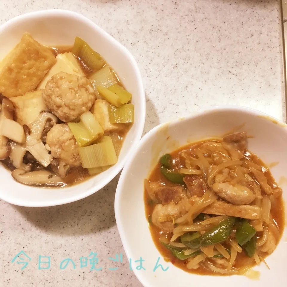 豚肉ともやしの中華炒め 肉団子と椎茸の煮物|よっぴぃさん