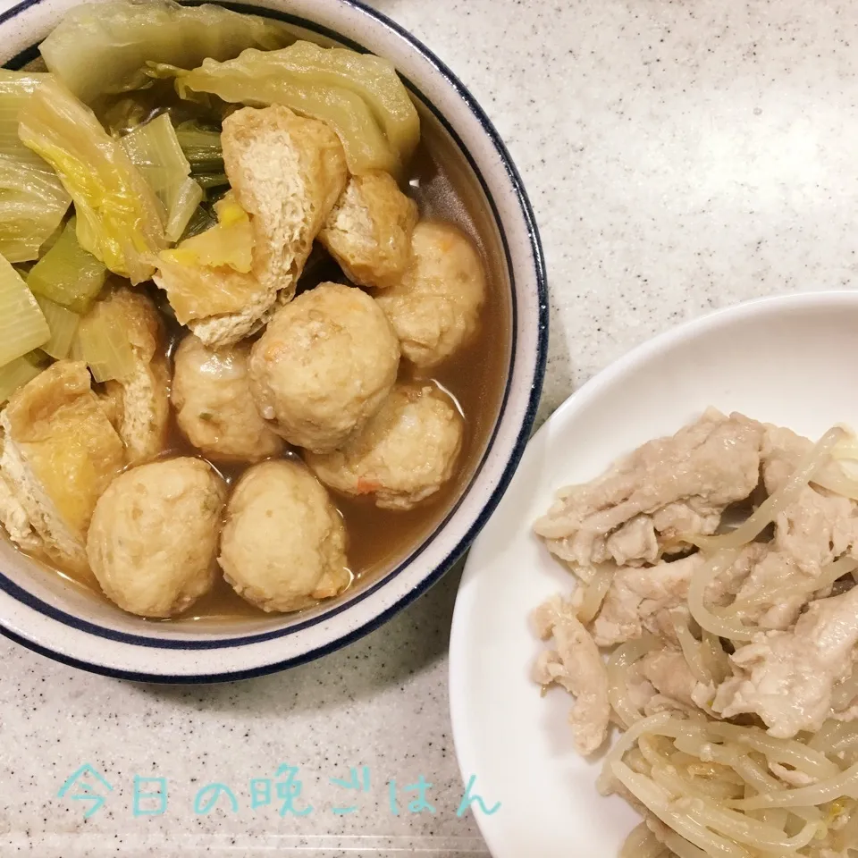 白菜と肉団子の煮物 豚肉ともやしの塩麹炒め|よっぴぃさん