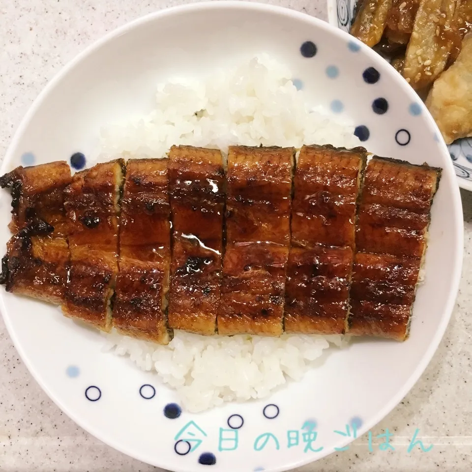 鰻の蒲焼き丼|よっぴぃさん