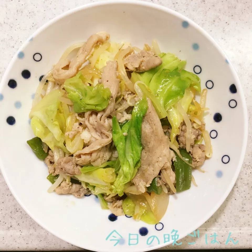 Snapdishの料理写真:春キャベツと豚肉の塩麹炒め|よっぴぃさん