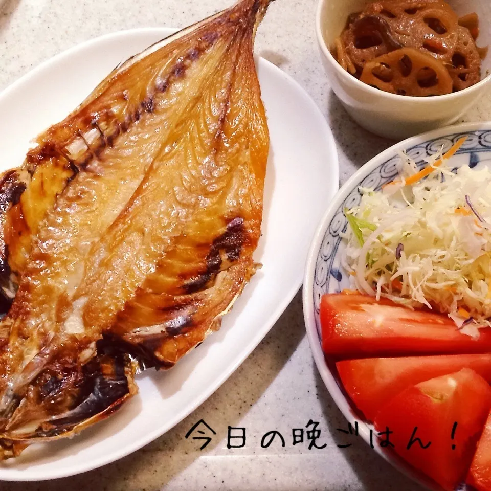 鯵の開き 金平れんこん サラダ等々|よっぴぃさん