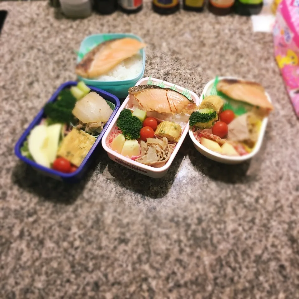 鮭弁当|yukさん