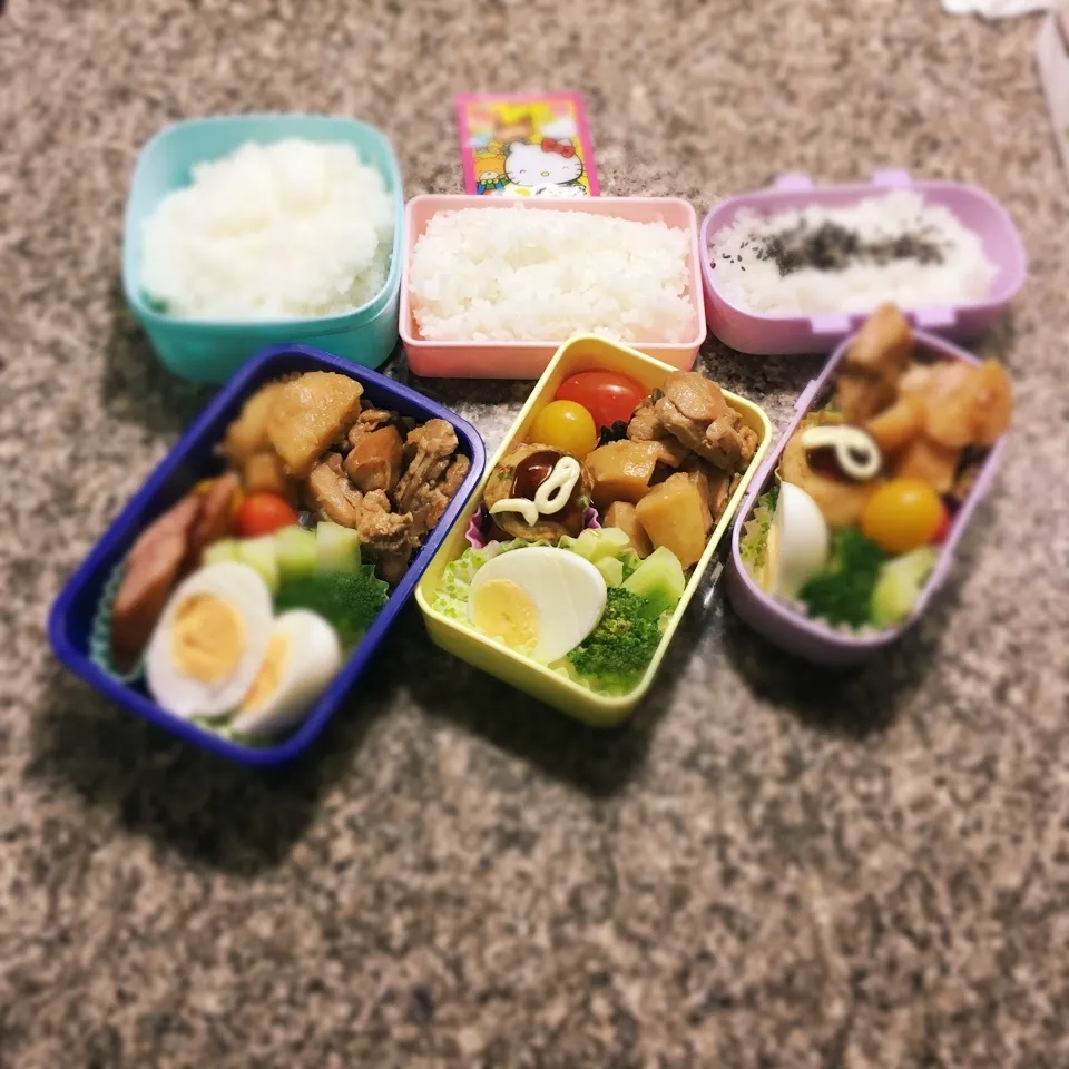 鶏肉とじゃがいもの甘辛煮弁当|yukさん