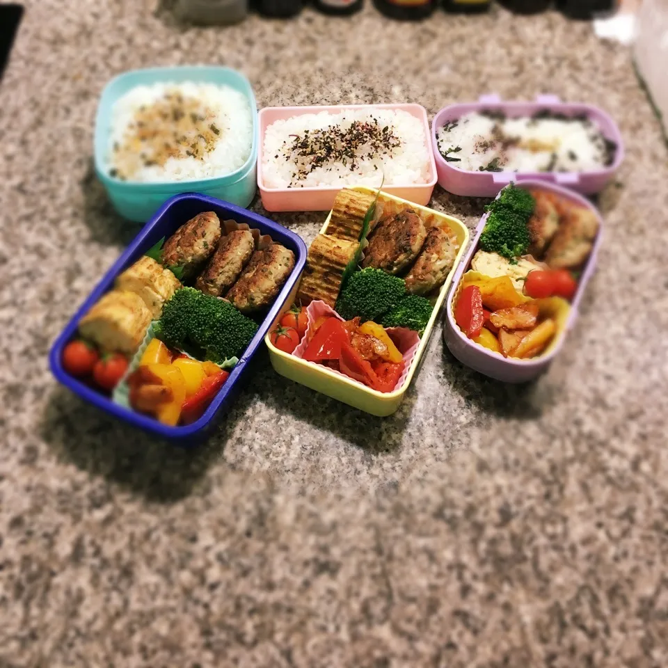 餃子の中身バーグ弁当|yukさん