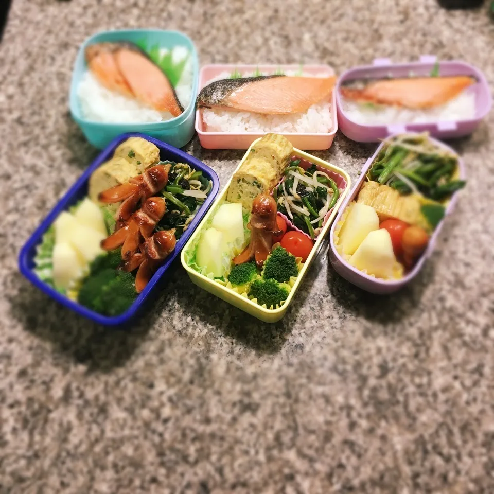 鮭弁当|yukさん