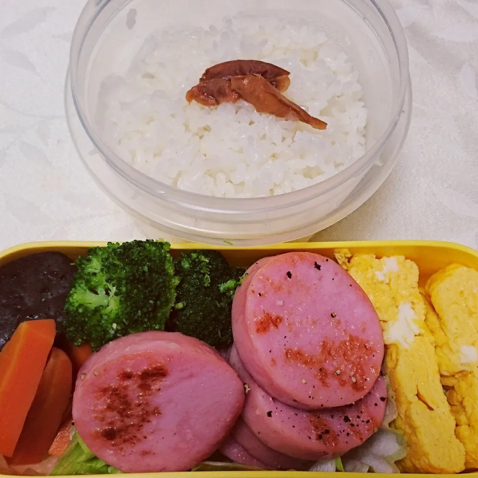 Snapdishの料理写真:9/18のお弁当|卯月さん