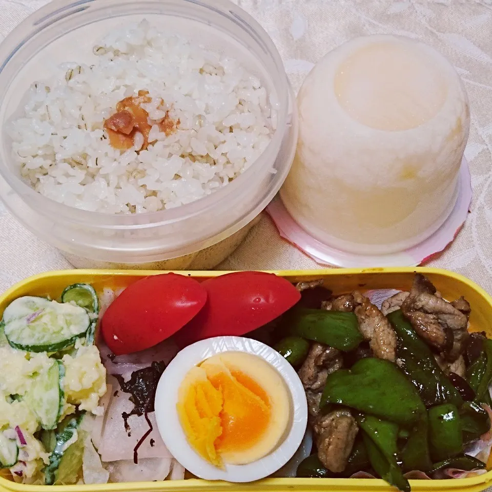 8/9のお弁当|卯月さん